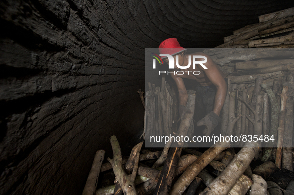 Male worker is stacked up many Oaks high in the charcoal dome / Kampung Keluat, Kelantan / Malaysia. *360 hours of waiting. 50 Cent's happy....