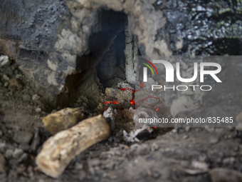 Oaks are burning about 15 days in the dome / Kampung Keluat, Kelantan / © Chris Jung
 (