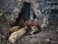 Oaks are burning about 15 days in the dome / Kampung Keluat, Kelantan / © Chris Jung
 (