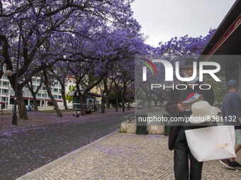 A person is seen selling hats in the vicinity of the Eduardo VII gardens. Lisbon, June 03, 2022. According to data from the General Health A...