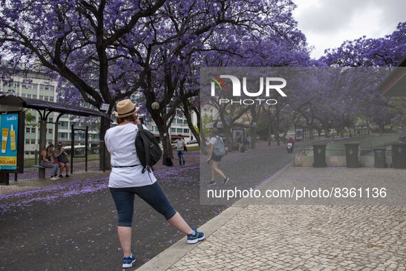 People are seen taking pictures in the surroundings of Eduardo VII Gardens. Lisbon, June 03, 2022. According to data from the General Health...