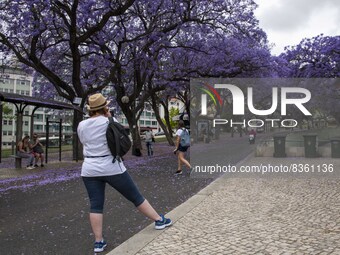 People are seen taking pictures in the surroundings of Eduardo VII Gardens. Lisbon, June 03, 2022. According to data from the General Health...