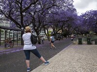 People are seen taking pictures in the surroundings of Eduardo VII Gardens. Lisbon, June 03, 2022. According to data from the General Health...