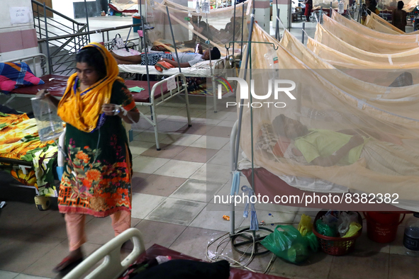 Dengue-infected patients are treated in a special ward of Mugda general hospital in Dhaka, Bangladesh on June 11, 2022. The number of dengue...