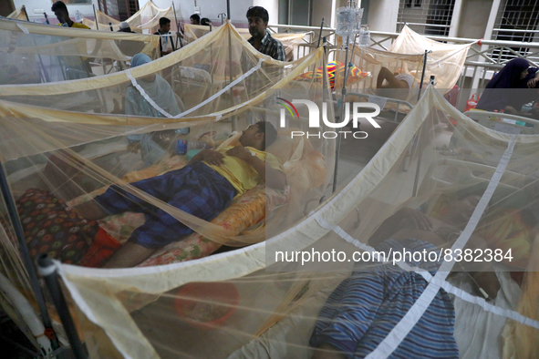 Dengue-infected patients are treated in a special ward of Mugda general hospital in Dhaka, Bangladesh on June 11, 2022. The number of dengue...