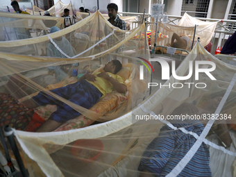 Dengue-infected patients are treated in a special ward of Mugda general hospital in Dhaka, Bangladesh on June 11, 2022. The number of dengue...