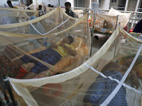 Dengue-infected patients are treated in a special ward of Mugda general hospital in Dhaka, Bangladesh on June 11, 2022. The number of dengue...