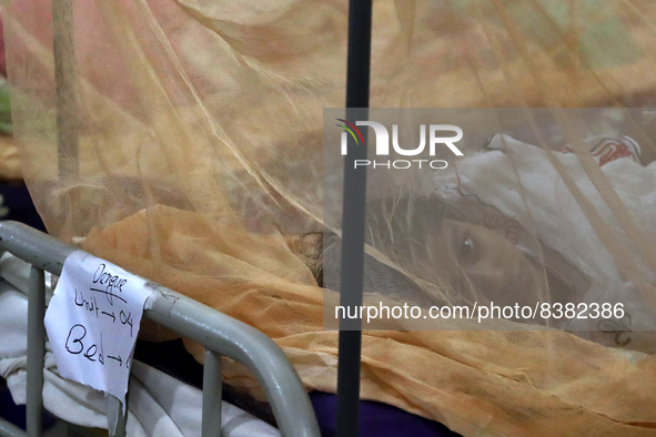 Dengue-infected patients are treated in a special ward of Mugda general hospital in Dhaka, Bangladesh on June 11, 2022. The number of dengue...