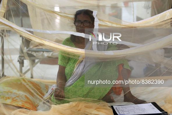 Dengue-infected patients are treated in a special ward of Mugda general hospital in Dhaka, Bangladesh on June 11, 2022. The number of dengue...