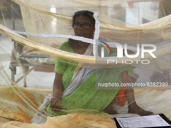 Dengue-infected patients are treated in a special ward of Mugda general hospital in Dhaka, Bangladesh on June 11, 2022. The number of dengue...