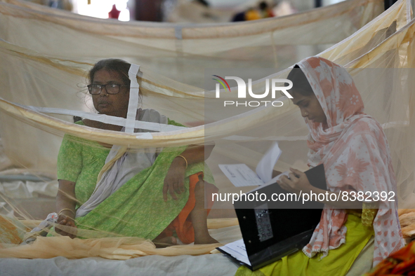 Dengue-infected patients are treated in a special ward of Mugda general hospital in Dhaka, Bangladesh on June 11, 2022. The number of dengue...