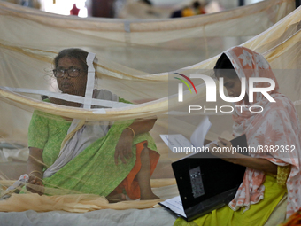 Dengue-infected patients are treated in a special ward of Mugda general hospital in Dhaka, Bangladesh on June 11, 2022. The number of dengue...