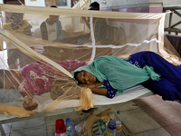 Dengue-infected patients are treated in a special ward of Mugda general hospital in Dhaka, Bangladesh on June 11, 2022. The number of dengue...