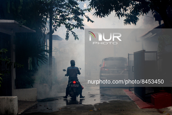 A motorist stops while a health workers fumigate a residential area to prevent mosquito breeding in Bogor, West Java, Indonesia on June 26,...