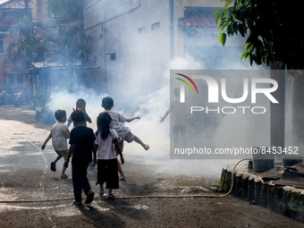 Children play in the vapour as a health worker fumigates a residential area as a preventive measure against dengue fever in Bogor, West Java...