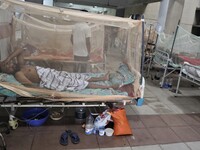 Dengue-infected patients are treated in a special ward of Mugda general hospital in Dhaka, Bangladesh on June 30, 2022. The number of dengue...