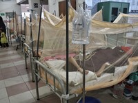 Dengue-infected patients are treated in a special ward of Mugda general hospital in Dhaka, Bangladesh on June 30, 2022. The number of dengue...