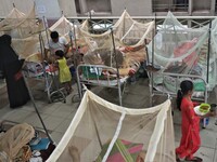 Dengue-infected patients are treated in a special ward of Mugda general hospital in Dhaka, Bangladesh on June 30, 2022. The number of dengue...