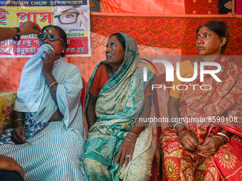 An ophthalmologist checks the eyes of a woman during a free eye-testing camp at Kumirmari village, in the Sundarbans, on July 26, 2022. The...