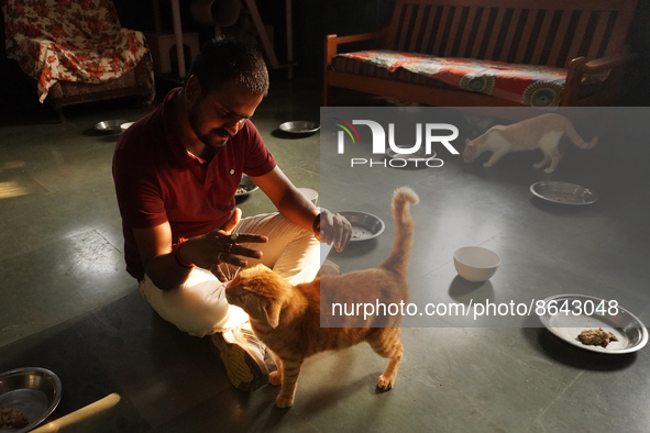 A caretaker plays with cats at a welfare center acting as home for elderly, abandoned and rescued felines, ahead of the 'International Cat D...