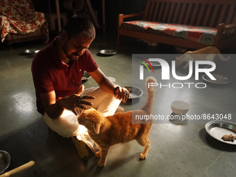 A caretaker plays with cats at a welfare center acting as home for elderly, abandoned and rescued felines, ahead of the 'International Cat D...