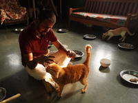 A caretaker plays with cats at a welfare center acting as home for elderly, abandoned and rescued felines, ahead of the 'International Cat D...