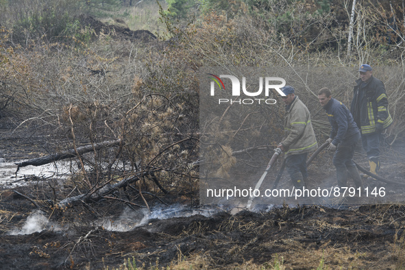 Rescuers are extinguishing Peat soil fires near the village of Sosnivka in the Kyiv Region, Ukraine September 6, 2022 