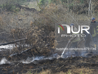 Rescuers are extinguishing Peat soil fires near the village of Sosnivka in the Kyiv Region, Ukraine September 6, 2022 (