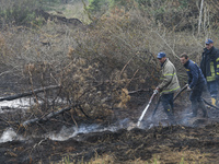 Rescuers are extinguishing Peat soil fires near the village of Sosnivka in the Kyiv Region, Ukraine September 6, 2022 (