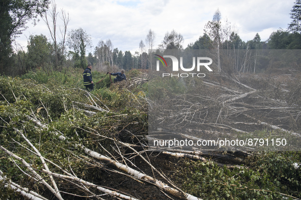 Rescuers are extinguishing Peat soil fires near the village of Sosnivka in the Kyiv Region, Ukraine September 6, 2022 