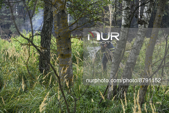 Rescuer extinguishes peat soil fires near the village of Sosnivka in the Kyiv Region, Ukraine September 6, 2022 