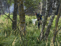 Rescuer extinguishes peat soil fires near the village of Sosnivka in the Kyiv Region, Ukraine September 6, 2022 (