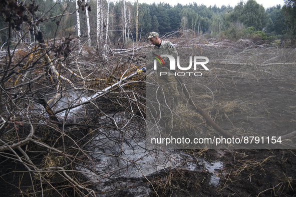 Rescuer extinguishes peat soil fires near the village of Sosnivka in the Kyiv Region, Ukraine September 6, 2022 