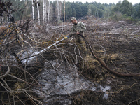 Rescuer extinguishes peat soil fires near the village of Sosnivka in the Kyiv Region, Ukraine September 6, 2022 (