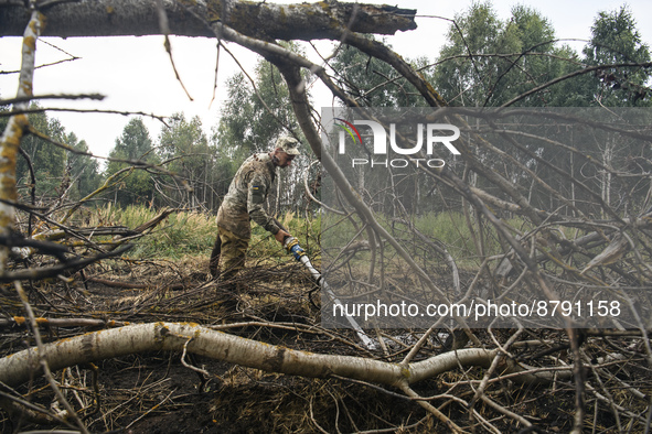 Rescuer extinguishes peat soil fires near the village of Sosnivka in the Kyiv Region, Ukraine September 6, 2022 