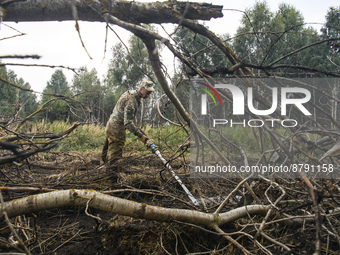 Rescuer extinguishes peat soil fires near the village of Sosnivka in the Kyiv Region, Ukraine September 6, 2022 (