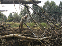 Rescuer extinguishes peat soil fires near the village of Sosnivka in the Kyiv Region, Ukraine September 6, 2022 (