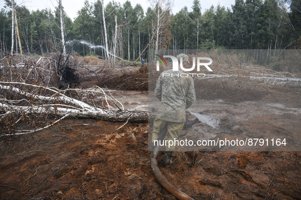 Rescuer extinguishes peat soil fires near the village of Sosnivka in the Kyiv Region, Ukraine September 6, 2022 