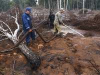 Rescuers are extinguishing Peat soil fires near the village of Sosnivka in the Kyiv Region, Ukraine September 6, 2022 (