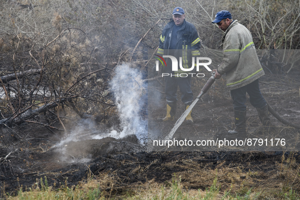 Rescuers are extinguishing Peat soil fires near the village of Sosnivka in the Kyiv Region, Ukraine September 6, 2022 