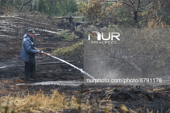 Rescuer extinguishes peat soil fires near the village of Sosnivka in the Kyiv Region, Ukraine September 6, 2022 