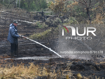 Rescuer extinguishes peat soil fires near the village of Sosnivka in the Kyiv Region, Ukraine September 6, 2022 (