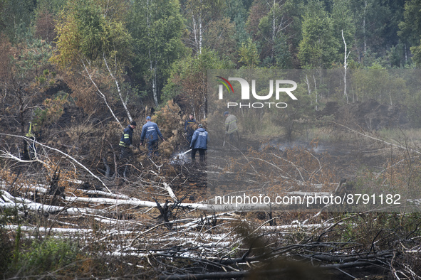 Rescuers are extinguishing Peat soil fires near the village of Sosnivka in the Kyiv Region, Ukraine September 6, 2022 