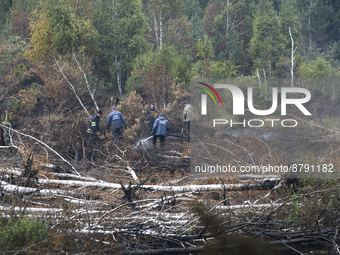 Rescuers are extinguishing Peat soil fires near the village of Sosnivka in the Kyiv Region, Ukraine September 6, 2022 (