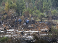 Rescuers are extinguishing Peat soil fires near the village of Sosnivka in the Kyiv Region, Ukraine September 6, 2022 (