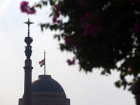 The Indian national flag flies half-mast at Rashtrapati Bhavan, home to the President of the world's largest democracy, as India observes on...