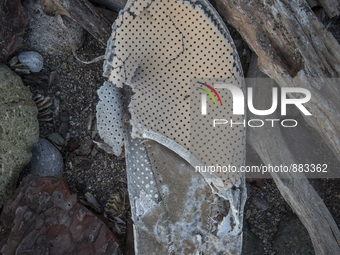 Slipper found near Eftalou on the island of Lesbos.  Shoes found on the beaches and around the Greek island where thousands of immigrants ar...