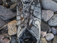 Nike basketball sneaker found near Eftalou on the island of Lesbos.  Shoes found on the beaches and around the Greek island where thousands...