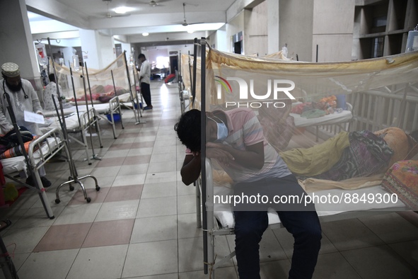 Dengue-infected patients are treated in a special ward of a hospital in Dhaka, Bangladesh on September 14, 2022. Some 389 people with dengue...