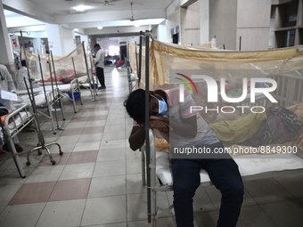 Dengue-infected patients are treated in a special ward of a hospital in Dhaka, Bangladesh on September 14, 2022. Some 389 people with dengue...